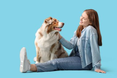 Avustralya çoban köpeği olan genç bir kadın mavi arka planda oturuyor.