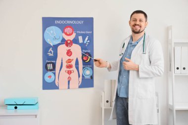 Male endocrinologist showing poster in clinic clipart