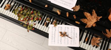 Güz yaprakları, böğürtlenler ve notalar piyanonun üstünde, üst manzara