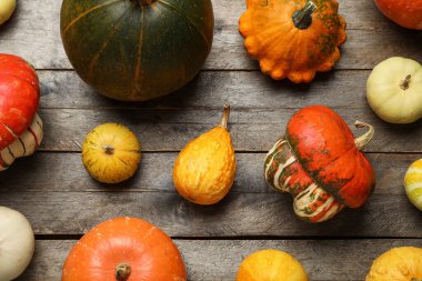 Gri ahşap arka planda farklı taze balkabakları