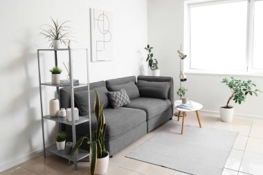 Kanepesi, raf ünitesi ve farklı bitkileri olan modern stil oturma odasının içinde.