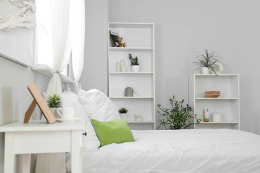 Raflar ve farklı ev bitkileriyle modern şık rahat bir yatak odası.