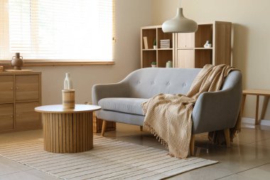 Ekoseli rahat bir kanepe ve oturma odasında dekorlu bir sehpa.