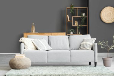 Kanepesi ve halısı olan şık bir oturma odası.