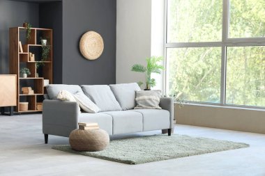 Kanepesi ve halısı olan şık bir oturma odası.
