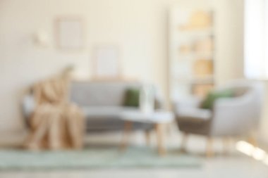 Ekoseli, yastıklı rahat bir kanepe, oturma odasının içinde vazo olan koltuk ve kahve masası. Bulanık görünüm