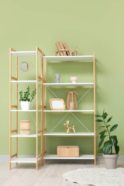Oturma odasındaki yeşil duvarın yanında ev bitkisi ve farklı dekor bulunan raflar.