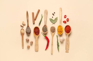 Renkli arka planda ahşap kaşıklarla taze aromatik baharatlar kompozisyonu