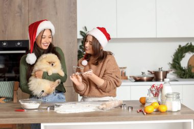 Pomeranya köpekli genç lezbiyen çift Noel arifesinde mutfakta kurabiye yapıyor.