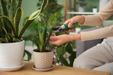 Evde yaprakları budanmış, genç bir bahçıvan kadın.