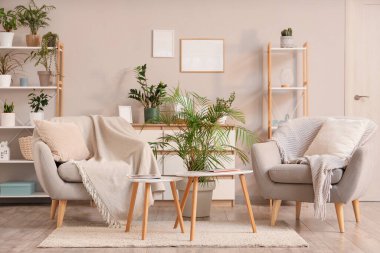 Rahat koltuklar, raf üniteleri, ev bitkileri ve oturma odasındaki kahve masası.