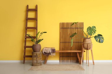 Sarı duvarın yanındaki bankta, merdivende ve çiçeklerde.