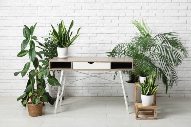 Ofiste çiçekli şık bir masa.