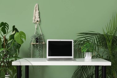 Ofiste yeşil duvarın yanında ev bitkileri ve dizüstü bilgisayarı olan şık bir masa.