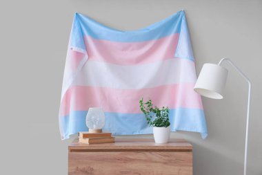 Ev dekoru klozette, lambalı ve bej duvarın yanında transseksüel bayrağı asılı.