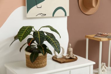 Odadaki renkli duvarın yanındaki masaya bitki dikin.