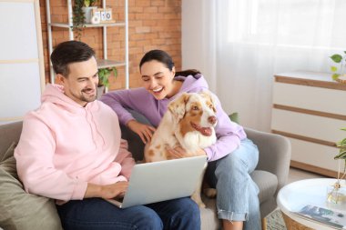 Avustralya çoban köpeği olan genç çift evdeki kanepede dizüstü bilgisayar kullanıyor.