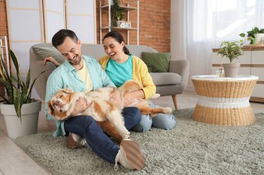 Avustralya çoban köpeği olan genç bir çift evde halının üzerinde oturuyor.