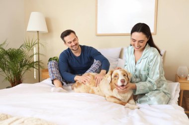 Avustralya çoban köpeği olan genç çift yatak odasında oturuyor.