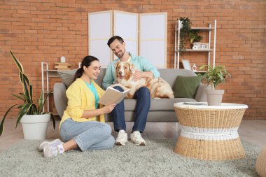 Avustralya çoban köpeği okuma kitabı olan genç bir çift.