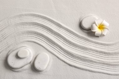 Taşlar ve çizgileri olan açık kumdaki tropikal çiçekler. Zen kavramı