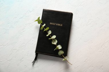 Işık arka planında okaliptüs dalı olan kutsal İncil.