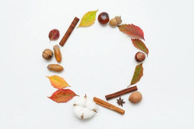 Farklı fındıklı sonbahar yapraklarından yapılmış çerçeve, tarçın ve beyaz arka planda pamuk çiçeği