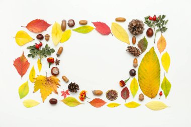 Güzel çiçekli, kestaneli, meşe palamutlu, kozalaklı ve beyaz arka planda gül üzümlü güz yapraklarından yapılmış çerçeve.