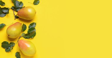 Sarı zemin üzerinde taze armutlar metin için boşluk, üst görünüm