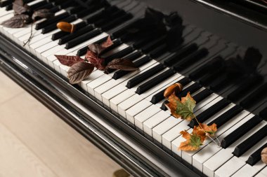 Sonbahar yaprakları ve meşe palamudu olan piyano klavyesi. Yakın çekim.