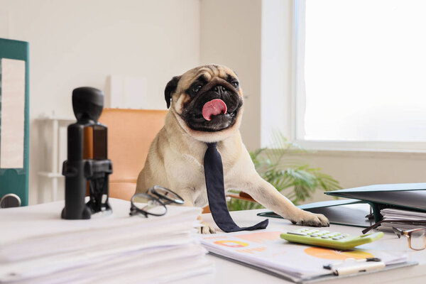 Забавная собачка-мопс с галстуком за столом в офисе