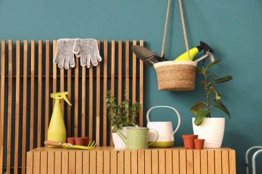 Bahçecilik aletleri olan bitkiler atölyede mavi duvarın yanında klozete konur