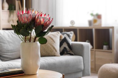 Oturma odasında üzerinde protea çiçekleri ve dergiler olan vazo, yakın plan.