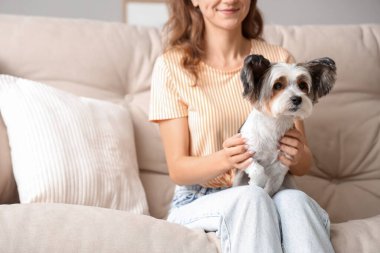 Evdeki kanepede oturan sevimli Terrier köpeği olan genç bir kadın.