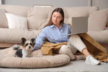 Dizüstü bilgisayarı ve sevimli Terrier köpeği olan genç bir kadın.