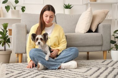 Evde halıda oturan bisikletli teriyer köpeği olan genç bir kadın.