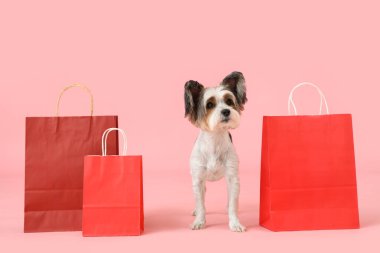 Pembe arka planda alışveriş torbaları olan şirin Biewer Terrier köpeği.
