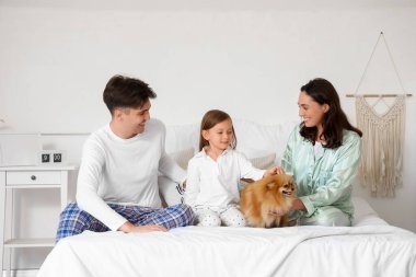 Little girl with her parents and Pomeranian dog sitting in bedroom clipart