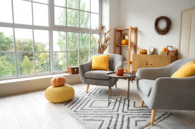 Sonbahar için dekore edilmiş modern oturma odasının içinde rahat koltuklar, sehpa ve pencere kenarında balkabakları var.