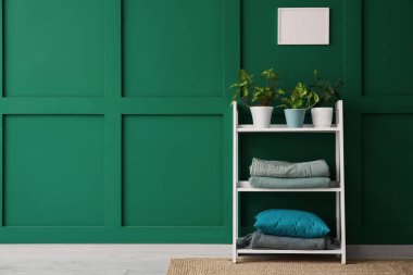 Yeşil duvarın yanında bitki, katlanmış battaniye ve yastıklı raf ünitesi.