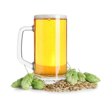 Beyaz arka planda yeşil kozalaklı bir bardak bira.