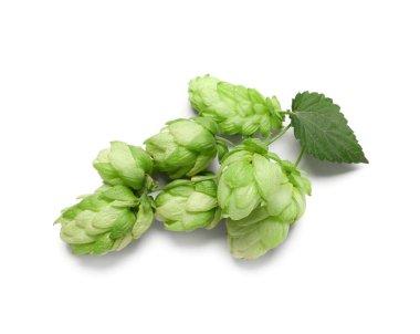 Beyaz arkaplanda yaprak izole yeşil koniler