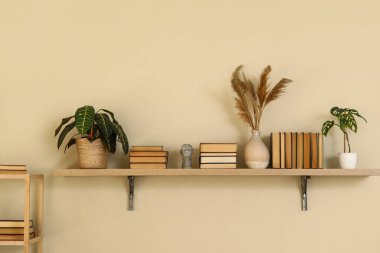 Kitaplı raflar, ev bitkileri ve vazodaki otlar. Yakın çekim.