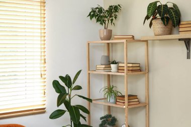 Oturma odasında kitap ve çiçek rafları.