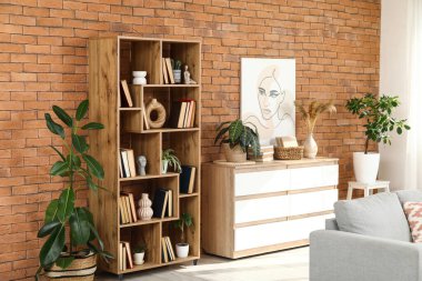 Salonun iç tarafındaki raflar, çekmeceler ve bitkiler.