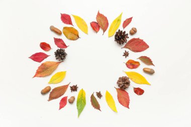 Beyaz arka planda sonbahar yaprakları, meşe palamudu, yıldız anason ve çam kozalaklarından yapılmış çerçeve