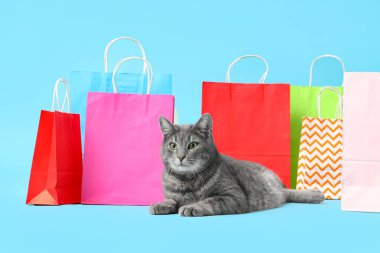 Mavi arka planda alışveriş torbaları olan sevimli bir kedi.