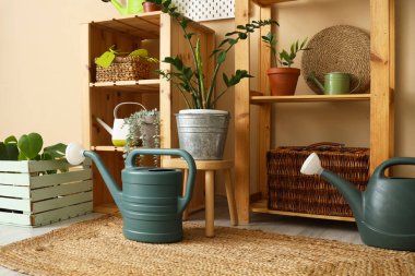 Bahçe aletleri ve bej duvarın yanında bitkiler olan raf ünitesi.