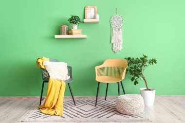 Sandalyeler, puf, saksı ve yeşil duvarlı raflar.