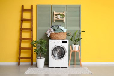 Çamaşır sepetinin içinde çamaşır makinesi, ev bitkileri ve katlanır ekran.